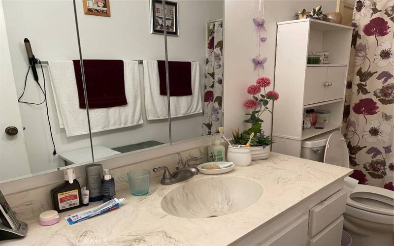 Bathroom with large vanity