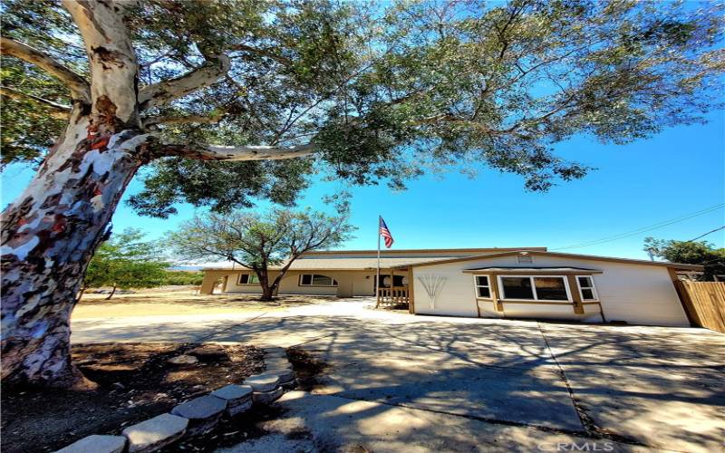 Front of office and house from circular drive