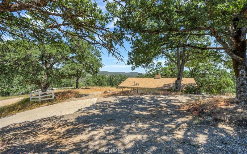 Shaded driveway