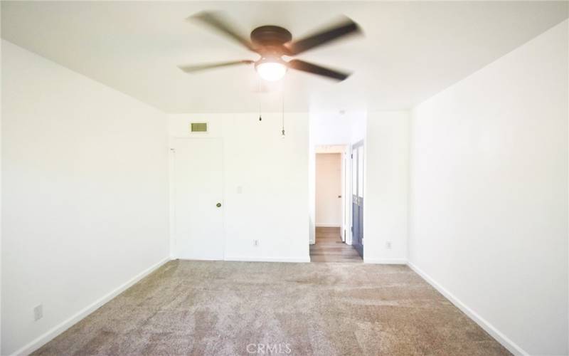 Ceiling Fan with Lights