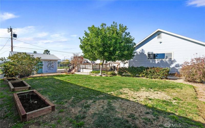 Main Home Rear Yard