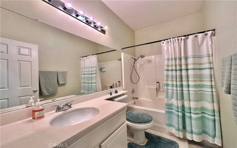 Guest Bathroom in Hallway