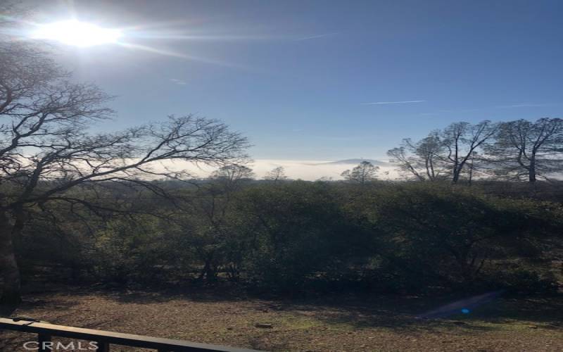 Above the Valley Fog