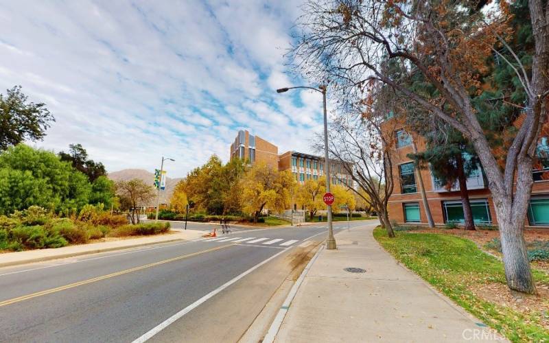 UCR campus ground and street.