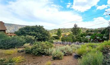 2005 Pioneer Way, Pine Mountain Club, California 93222, ,Land,Buy,2005 Pioneer Way,SR24149641