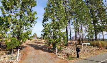 13812 S Park Drive, Magalia, California 95954, ,Land,Buy,13812 S Park Drive,SN22237835