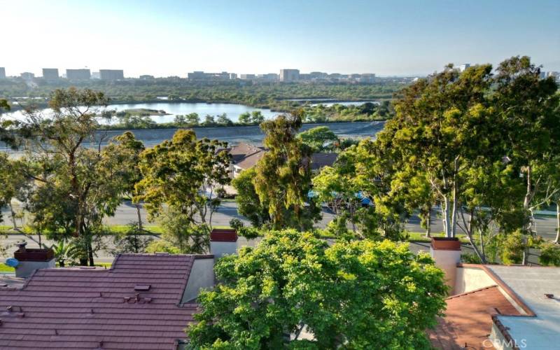 View of Irvine near UCI