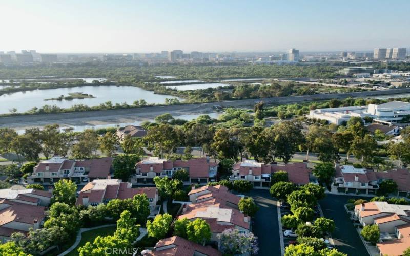 View of pool and Irvine near UCI Pt 2