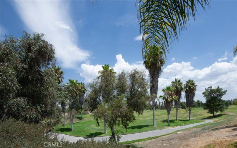 Golf Course Views