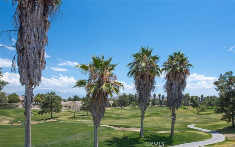 Manicured green pin view.