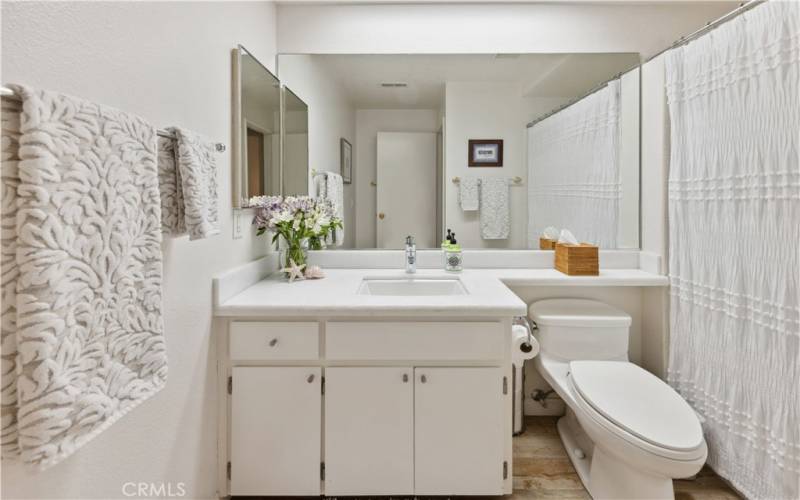 Guest bathroom