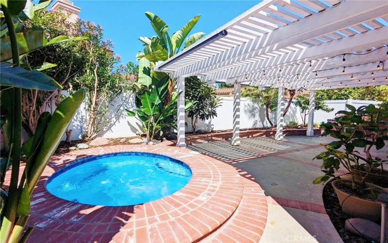 Jacuzzi Spa and back Patio