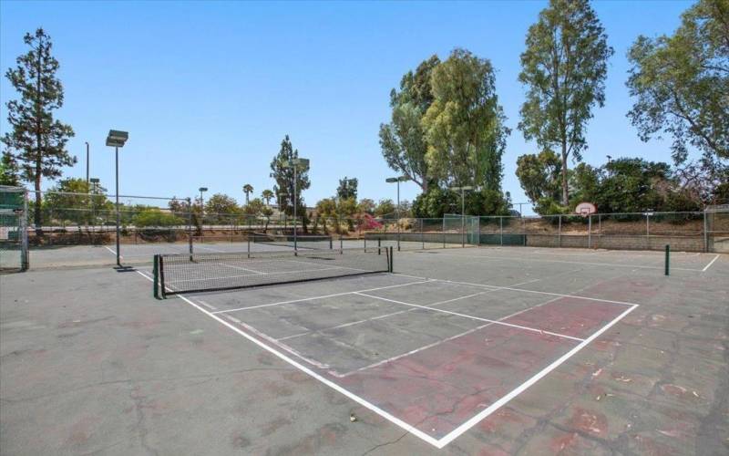 Pickleball Court