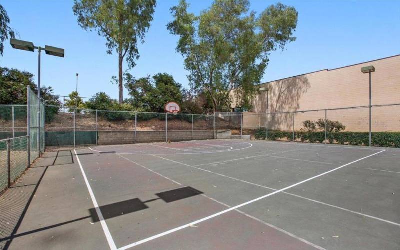 Basketball Court