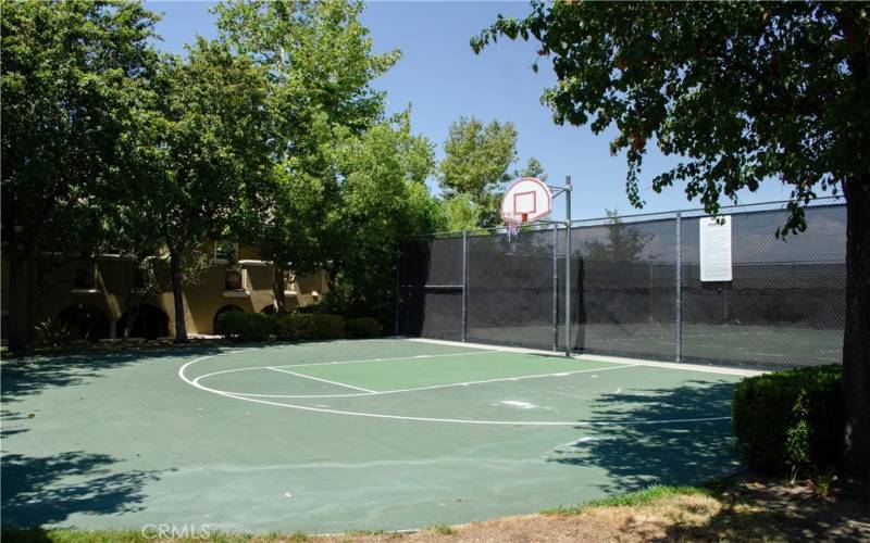 Basketball court