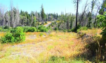 0 A Oak Drive, Berry Creek, California 95916, ,Land,Buy,0 A Oak Drive,PA24161112