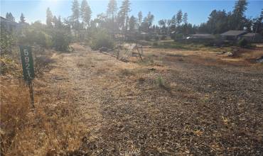 5921 Hazel Way, Paradise, California 95969, ,Land,Buy,5921 Hazel Way,SN24157337