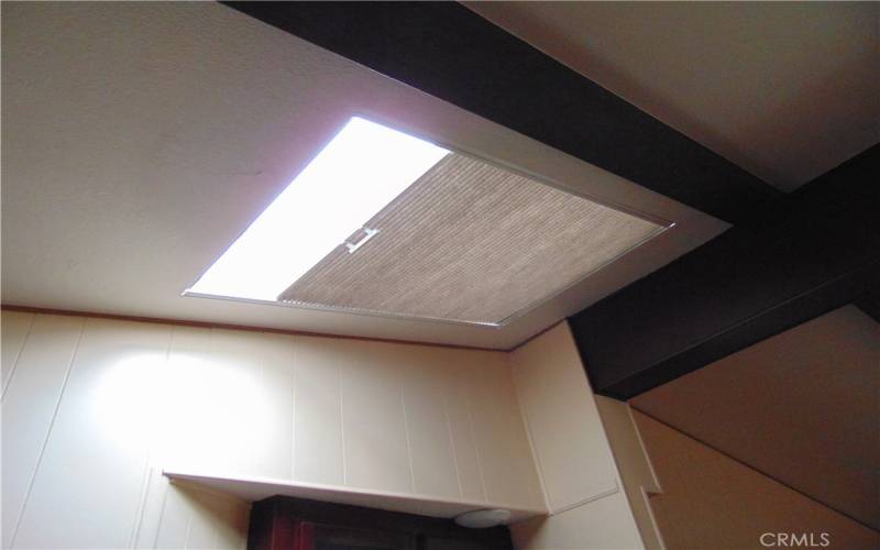 3 skylights with covers. in the family room