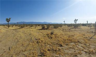 0 APN 3101-291-03-0000 Street, Phelan, California 92371, ,Land,Buy,0 APN 3101-291-03-0000 Street,CV24161464