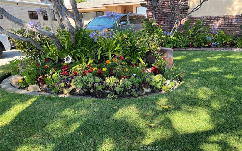 Front Yard planter