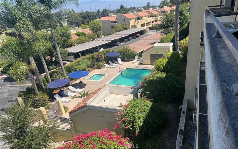 View of pool area