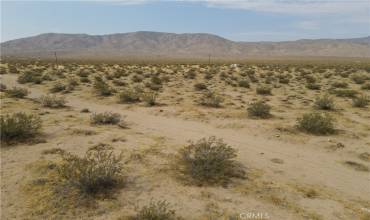 0 Pony Rd., Johnson Valley, California 92356, ,Land,Buy,0 Pony Rd.,AR24161186