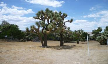 0 Hidden Gold Drive, Yucca Valley, California 92284, ,Land,Buy,0 Hidden Gold Drive,JT24161166