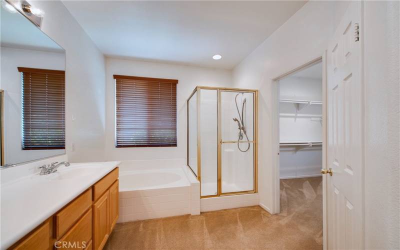 The master bath has a dual sink vanity, separate tub and shower, privacy door commode and and big walk-in closet.