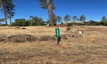 5449 Pentz Road, Paradise, California 95969, ,Land,Buy,5449 Pentz Road,SN24162114