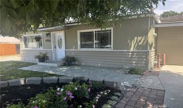 Front of house with Ash tree, lawn and flowers.