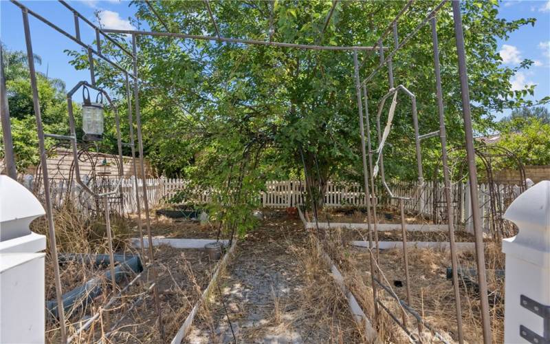 Vegetable Garden Area in Backyard