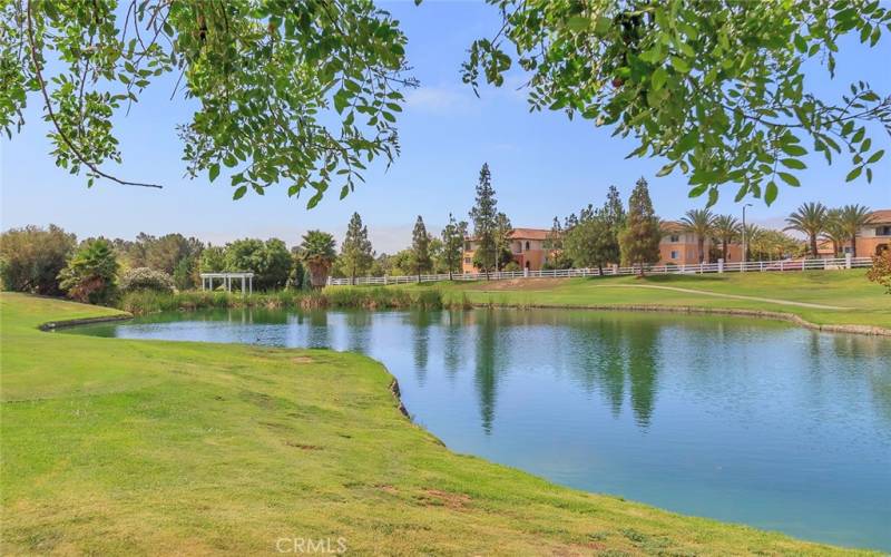 A serene pond in the community.