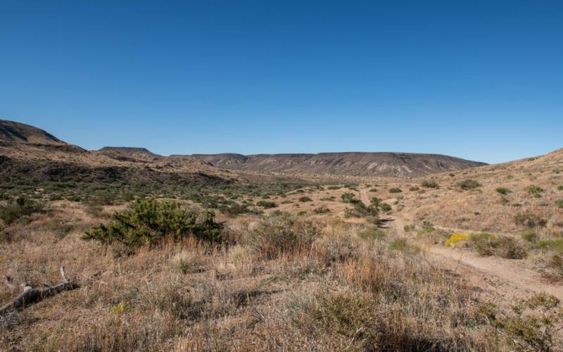 Large-Lot-1-Pipes-Canyon-37