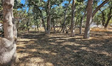 16114 41st Avenue, Clearlake, California 95422, ,Land,Buy,16114 41st Avenue,LC24162802