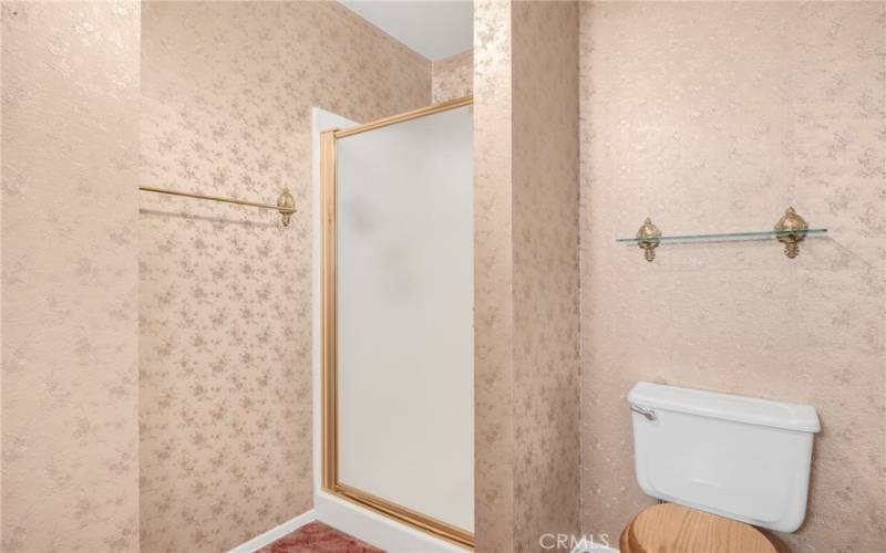 Separate shower and toilet area