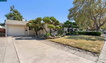 15848 Paseo Del Campo, San Lorenzo, California 94580, 3 Bedrooms Bedrooms, ,1 BathroomBathrooms,Residential,Buy,15848 Paseo Del Campo,41069026