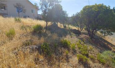 9911 Emerald Drive, Kelseyville, California 95451, ,Land,Buy,9911 Emerald Drive,LC24163096