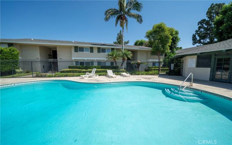 Pool and club house