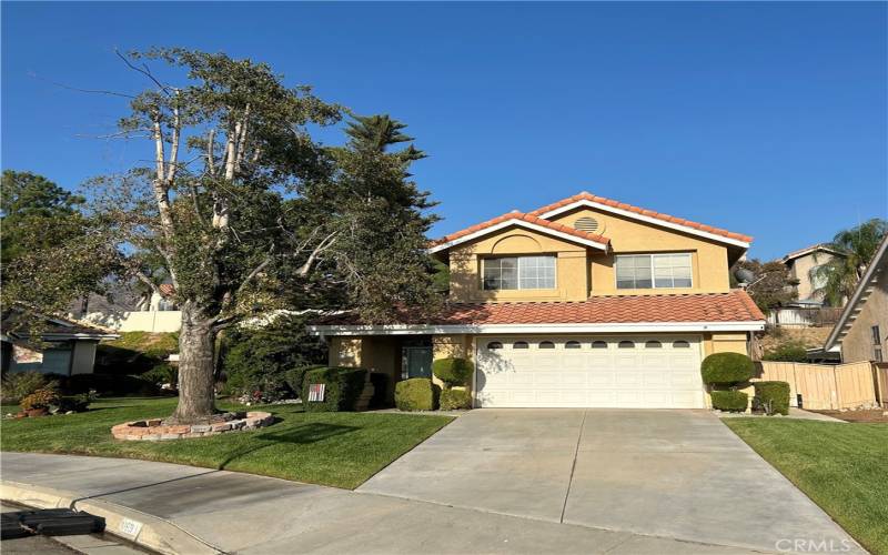 Beautiful Front Yard With Mature Tree Great For Shade And Possibly Tree Swing For The Kiddos!