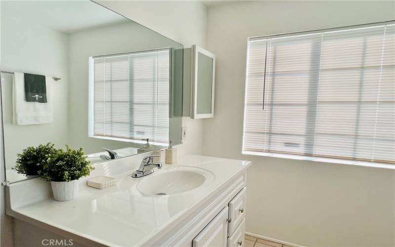 Master bathroom - view 10