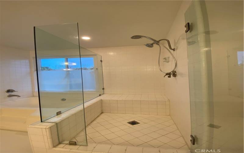 Primary Bathroom Walk-in Shower