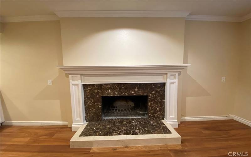 Family Room Fireplace