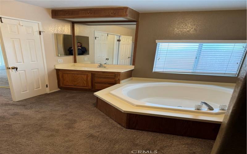 Main Bath soaking tub and 2 separate basins