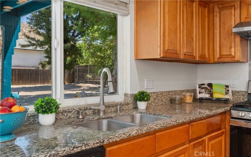 Great views of the resort style backyard from the kitchen sink.