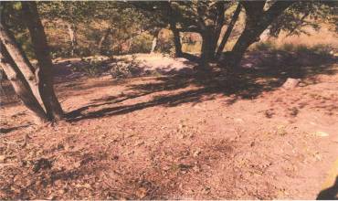 1169 Brentwood Drive, Lake Arrowhead, California 92352, ,Land,Buy,1169 Brentwood Drive,IV24163838