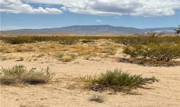 0 Oakdale Avenue, Lucerne Valley, California 92356, ,Land,Buy,0 Oakdale Avenue,IV24163845