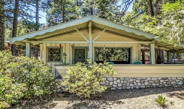 1 Great cabin nestled in the trees