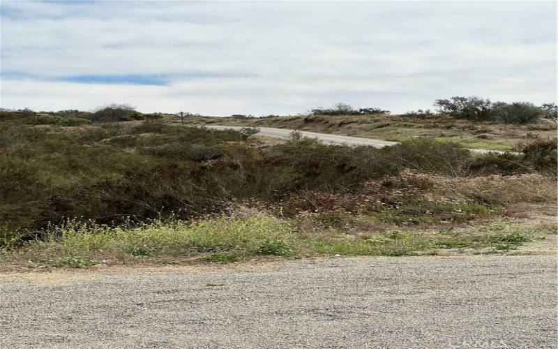 View to Red Mountain Road from Parcel.