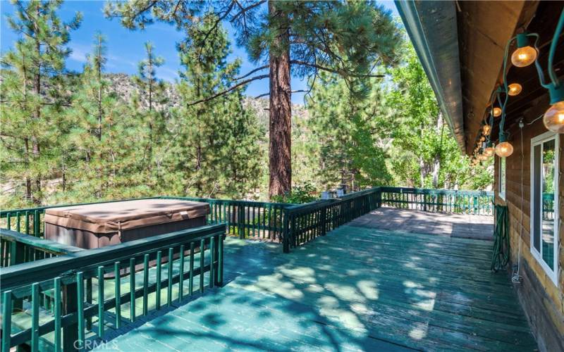 Huge back patio deck with NEW Spa and VIEWS, VIEWS, VIEWS!