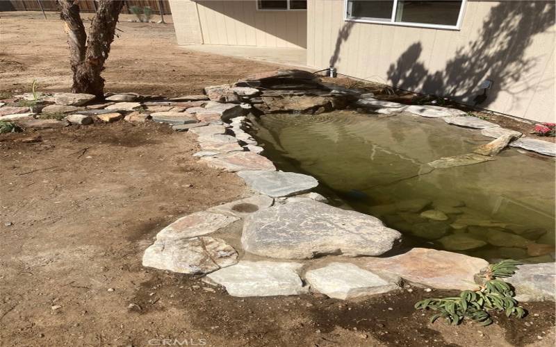 Pond with waterfall